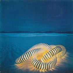 The Edgar Winter Group