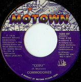 Commodores