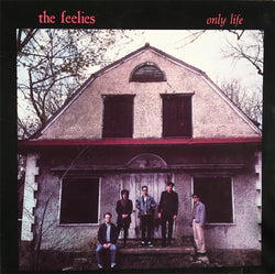 The Feelies