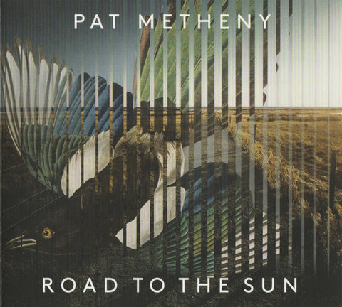 Pat Metheny
