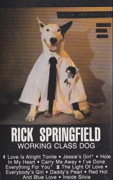 Rick Springfield