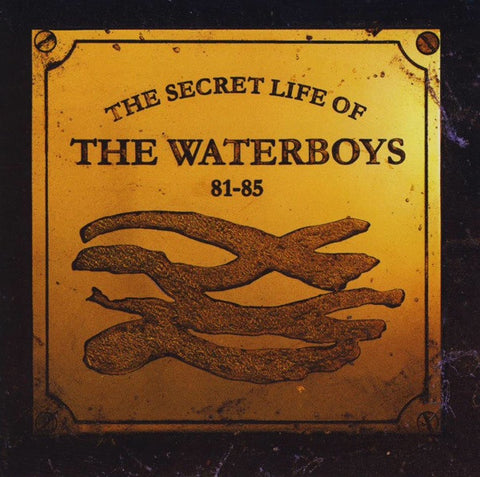 The Waterboys