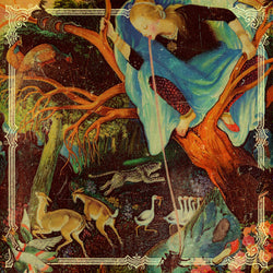 Protest The Hero