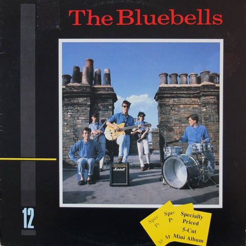 The Bluebells