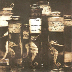 Various Artists