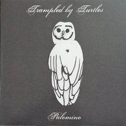 Trampled By Turtles