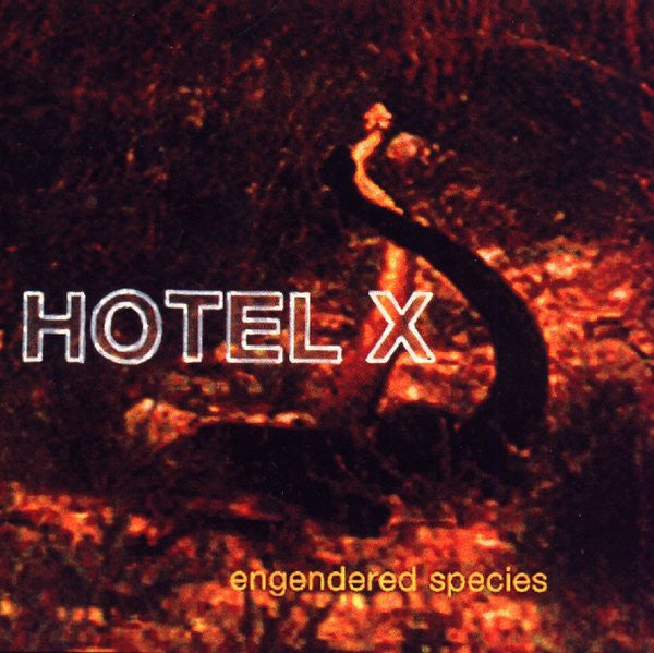 Hotel X