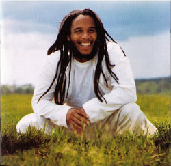 Ziggy Marley And The Melody Makers