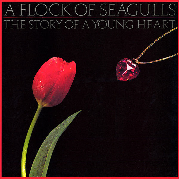 A Flock Of Seagulls