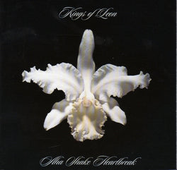 Kings Of Leon