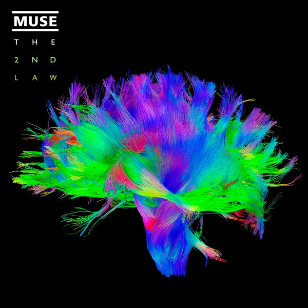 Muse