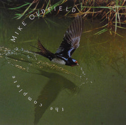 Mike Oldfield