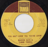 Marvin Gaye And Tammi Terrell