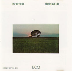 Pat Metheny