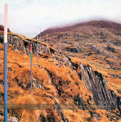 Section 25