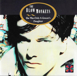 The Blow Monkeys