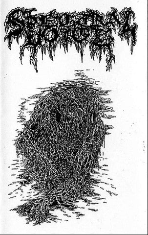 Spectral Voice