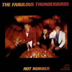 The Fabulous Thunderbirds