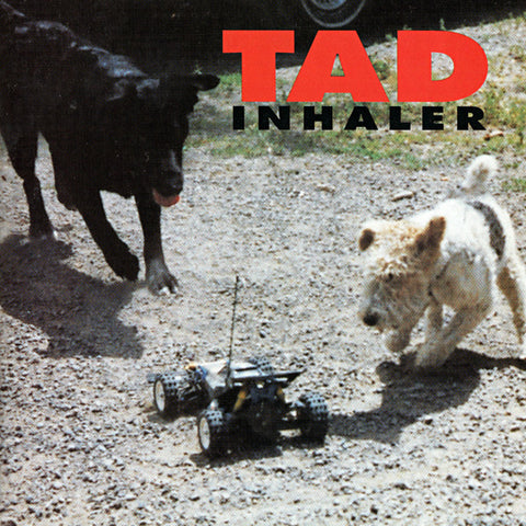 Tad