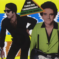 The Fabulous Thunderbirds