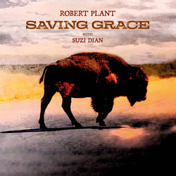 Robert Plant