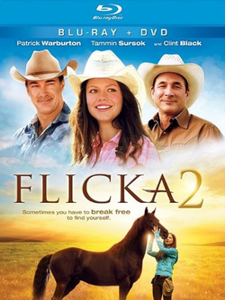Flicka 2