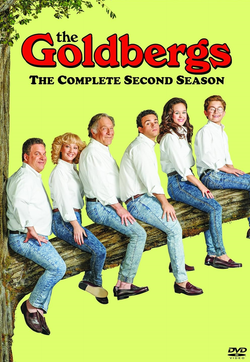The Goldbergs: The Complete Second Season
