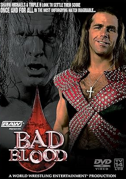 WWE: Bad Blood 2004