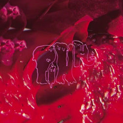 Arcade Fire
