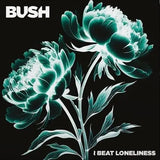 Bush