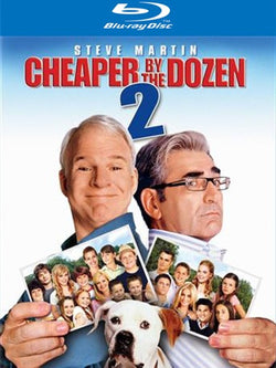 Cheaper by the Dozen 2