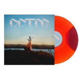 Foxing