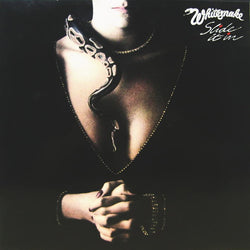 Whitesnake