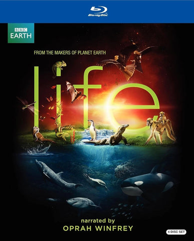 Life (BBC)