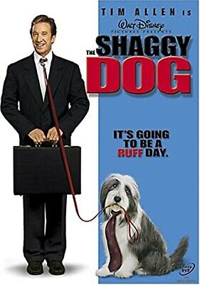 Shaggy Dog
