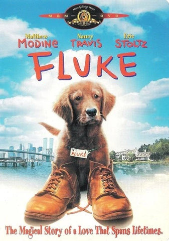 Fluke