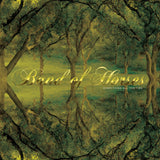 Band Of Horses