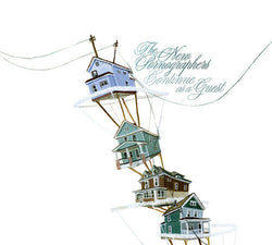 The New Pornographers