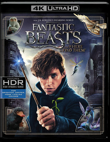 Fantastic Beasts And Where To Find Them [4K Ultra HD Blu-ray/Blu-ray]