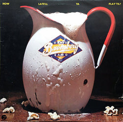 David Bromberg Band