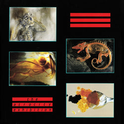 Various Artists