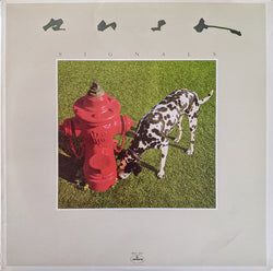 Rush