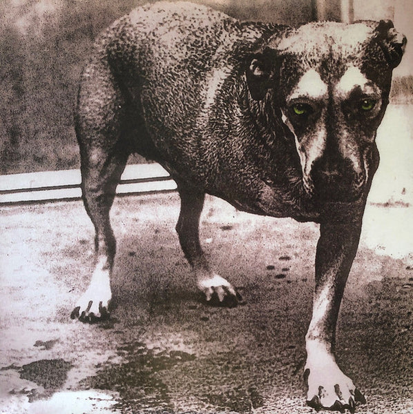 Alice In Chains