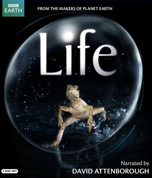 Life