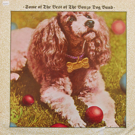 The Bonzo Dog Band