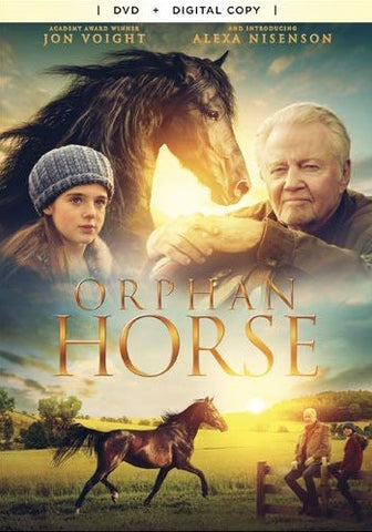 Orphan Horse