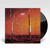 Muse