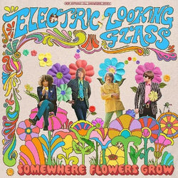 Electric Looking Glass