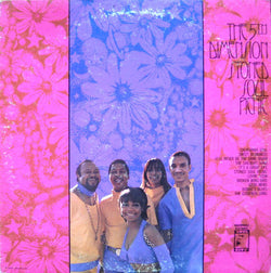 The 5th Dimension
