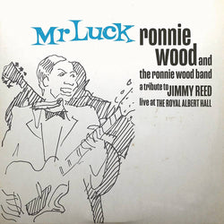The Ronnie Wood Band